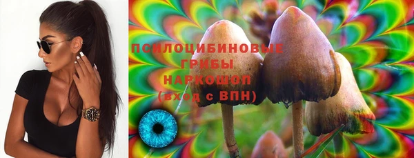 шишки Бородино