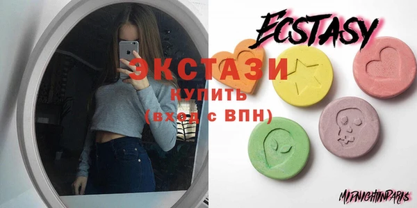 шишки Бородино