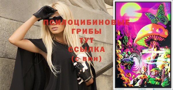 марки lsd Богданович