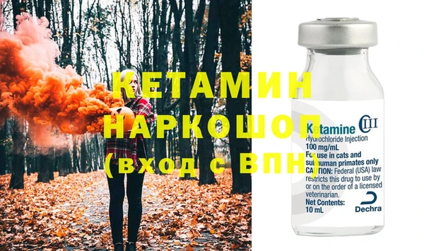 шишки Бородино