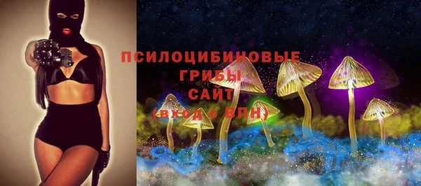 шишки Бородино