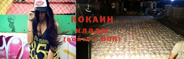 молекула духа Богородск
