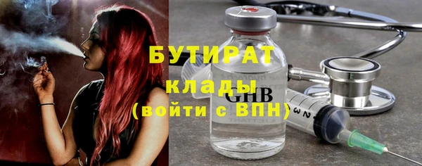 шишки Бородино
