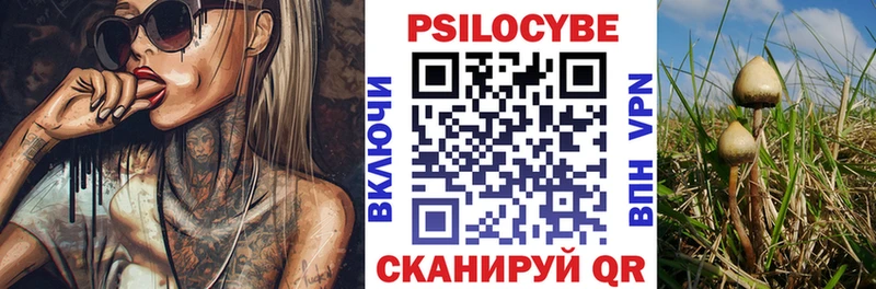 цены   Мценск  Псилоцибиновые грибы GOLDEN TEACHER 