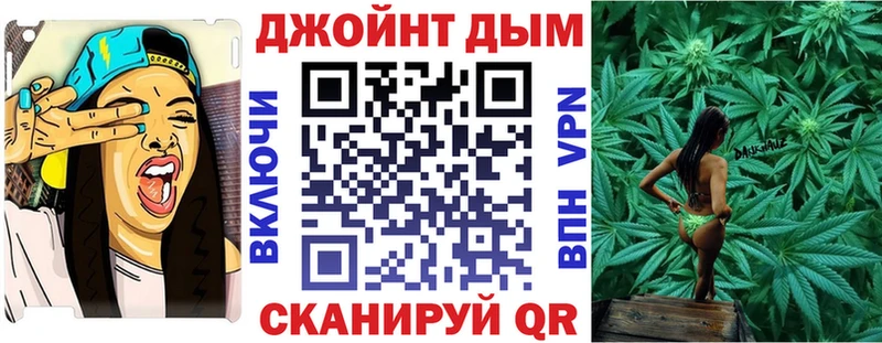 kraken как войти  Мценск  Каннабис сатива 
